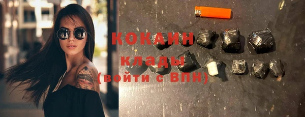 apvp Каменка