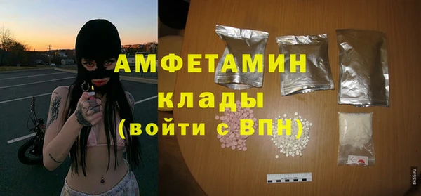 apvp Каменка