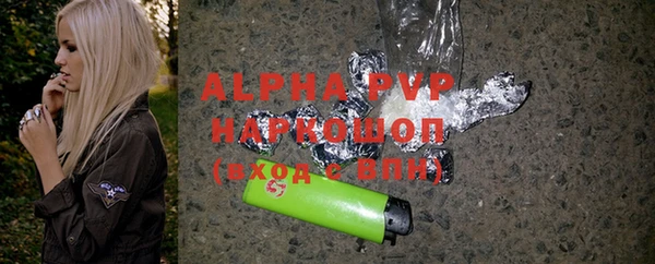 apvp Каменка