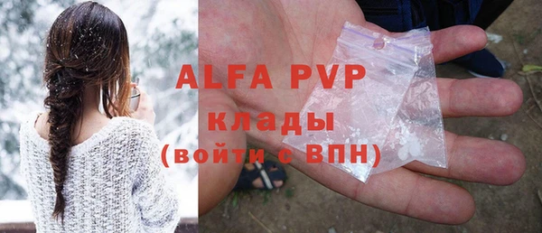 apvp Каменка